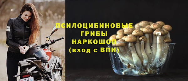 2c-b Лабытнанги