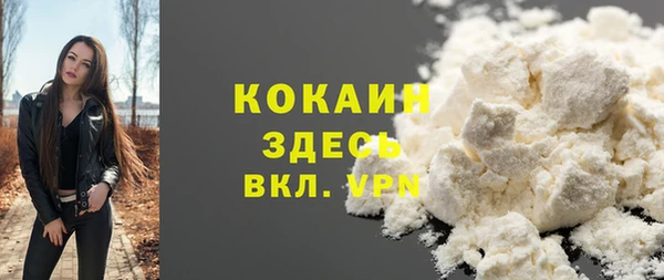 индика Лагань
