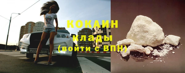 мдпв Ладушкин
