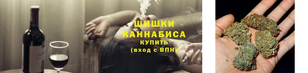 мдпв Ладушкин