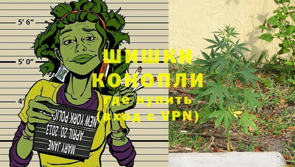 индика Лагань