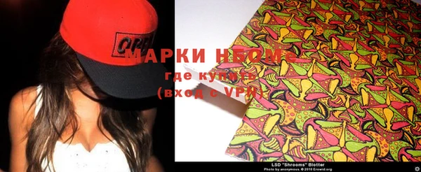 индика Лагань