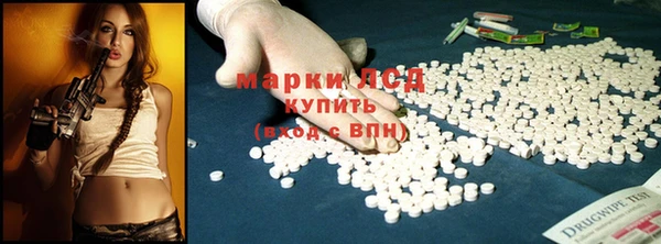 мдпв Ладушкин