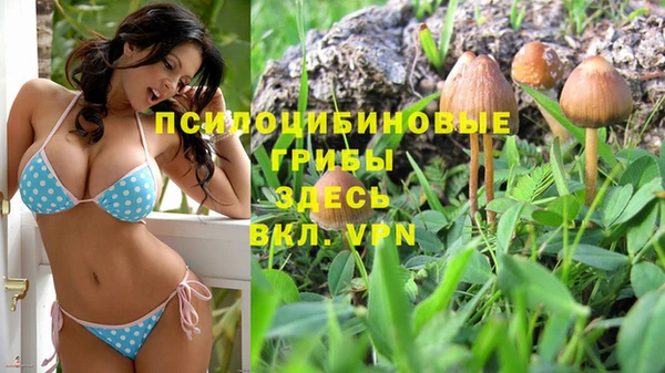 мдпв Ладушкин