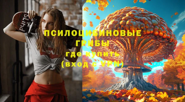 индика Лагань