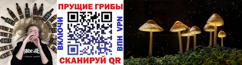 Псилоцибиновые грибы GOLDEN TEACHER  купить закладку  Тейково 