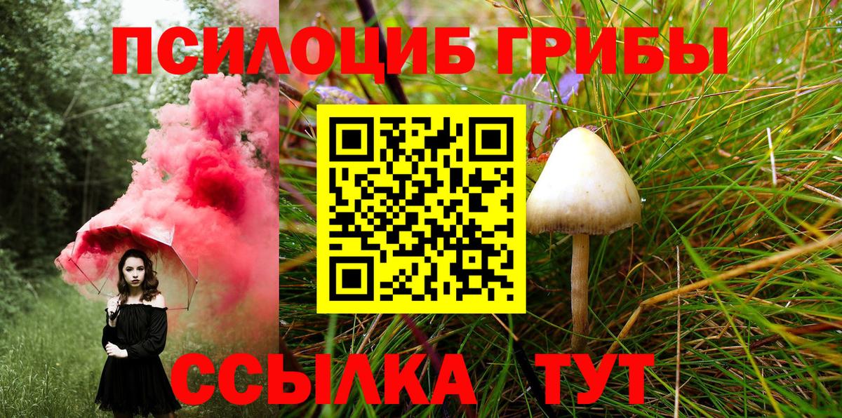 Псилоцибиновые грибы Psilocybine cubensis  Тейково 