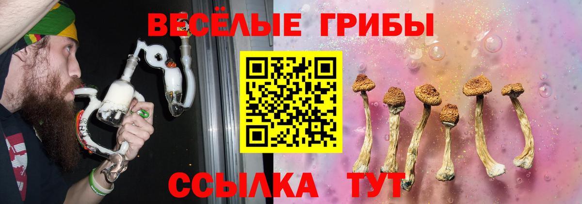Галлюциногенные грибы Psilocybe  Галлюциногенные грибы Psilocybe  Тейково  Вход с VPN 
